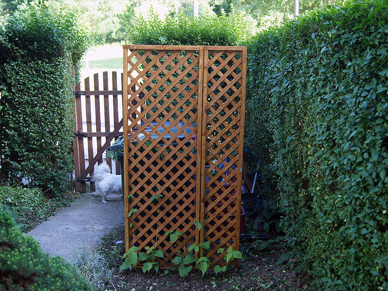 Runner Bean Wheelie Bin