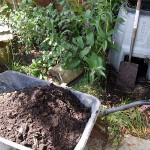 Some lovely compost